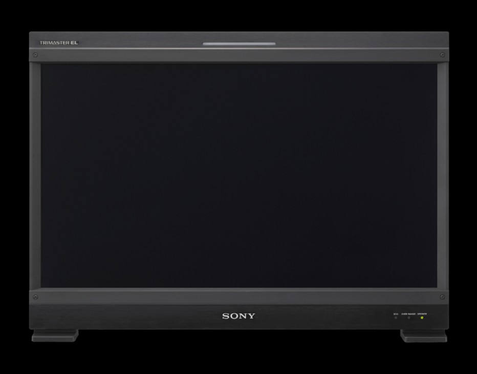 Sony BVME250A Computer Monitor